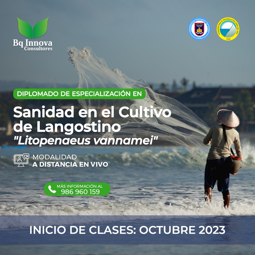 OCT 23: SCL-4
